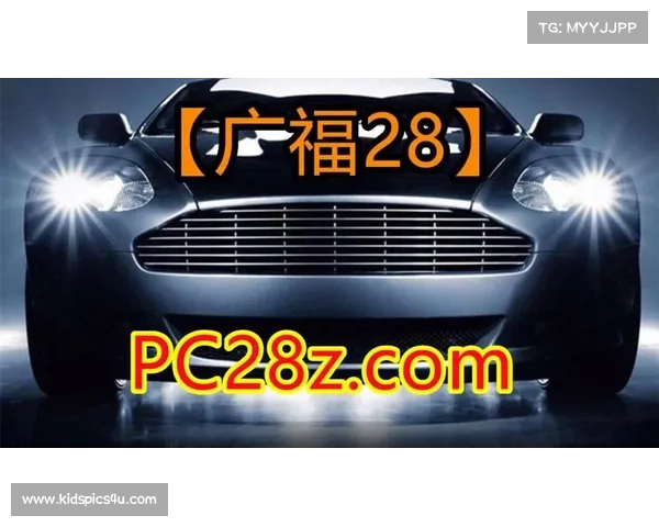 稳扎稳打玩转加拿大28技巧与策略分享 稳扎稳打玩转加拿大28技巧与策略分享